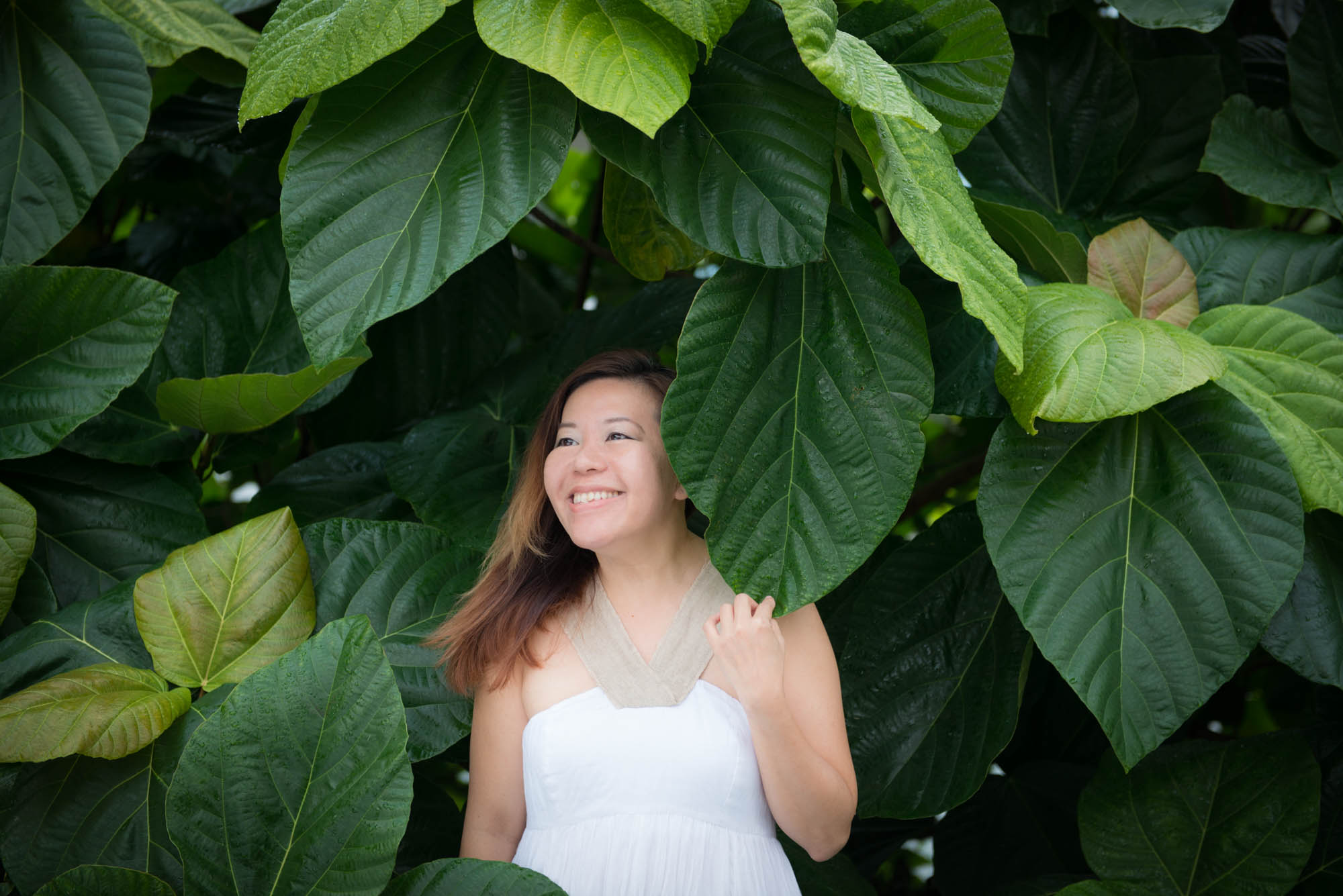 anne-plants-background